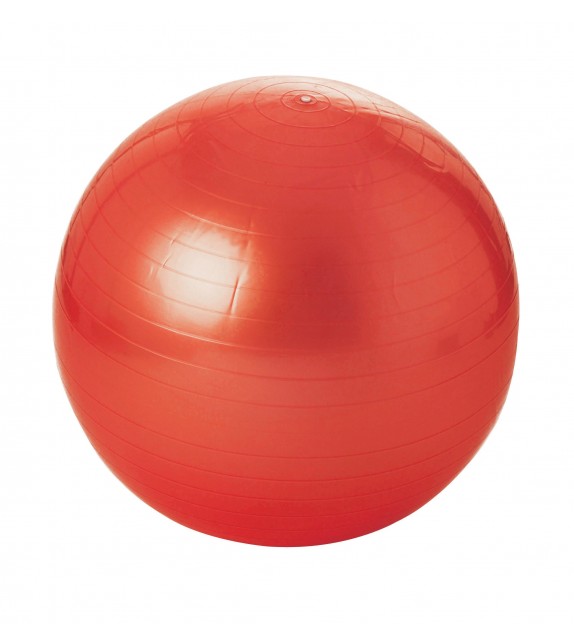 Gym bal  65 cm - tot 300kg rood