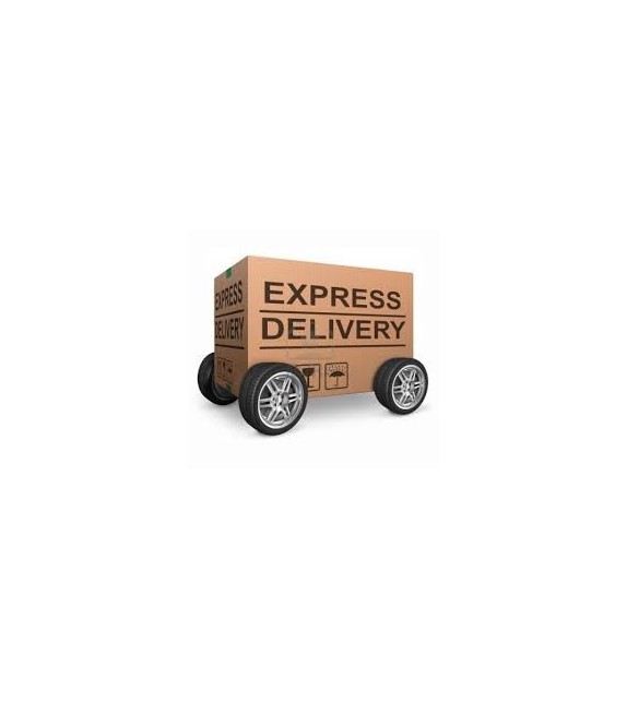 Express delivery