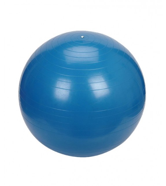 Gym bal  45 cm - tot 300kg blauw